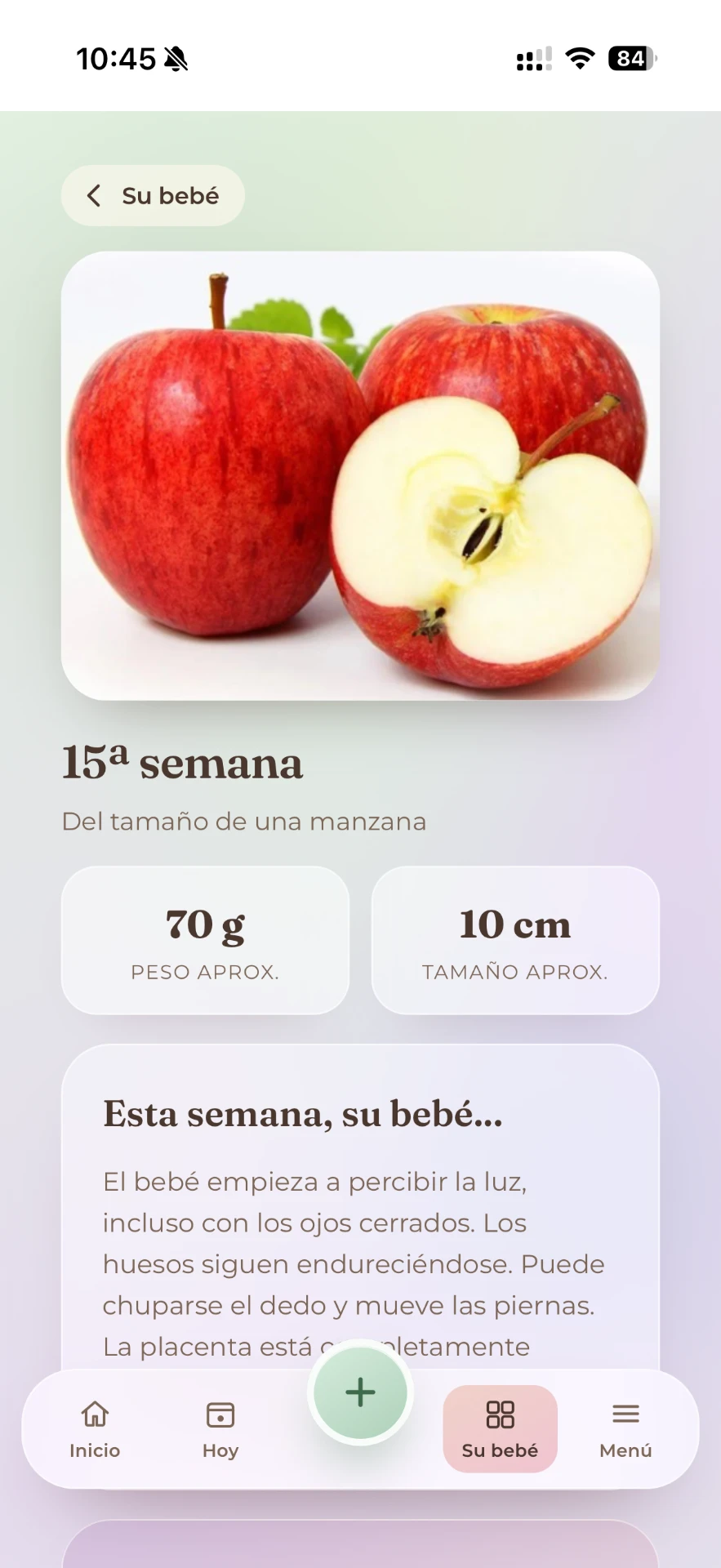 Cada semana del embarazo